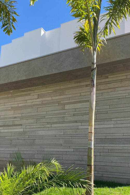 Réguas aparente premium pinus